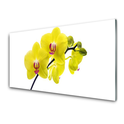 Plexiglas® Wall Art Flowers floral green