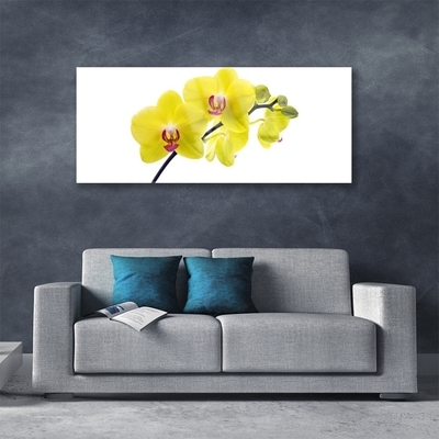 Plexiglas® Wall Art Flowers floral green