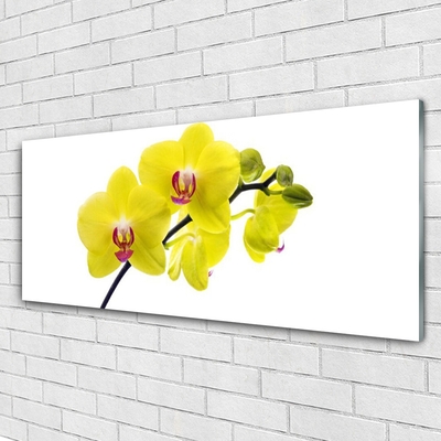 Plexiglas® Wall Art Flowers floral green