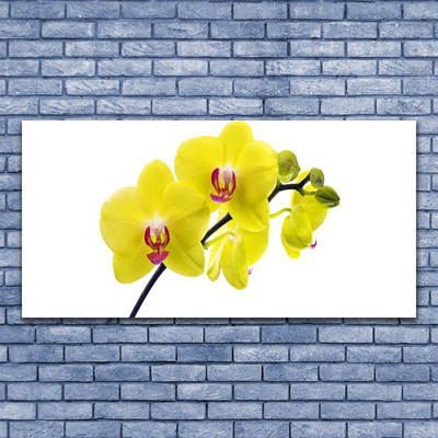 Plexiglas® Wall Art Flowers floral green