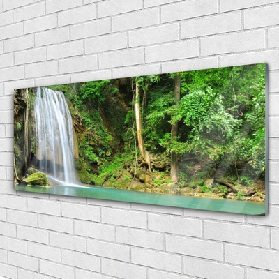 Plexiglas® Wall Art Waterfall forest nature white blue brown green