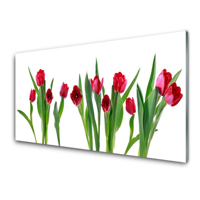 Plexiglas® Wall Art Tulips floral red