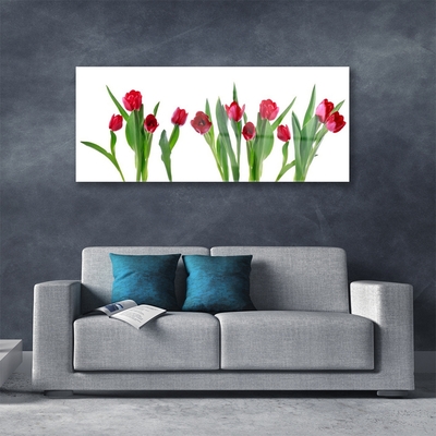 Plexiglas® Wall Art Tulips floral red