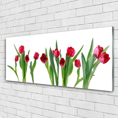 Plexiglas® Wall Art Tulips floral red