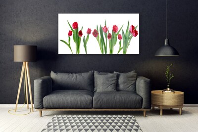 Plexiglas® Wall Art Tulips floral red