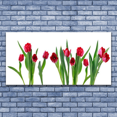 Plexiglas® Wall Art Tulips floral red