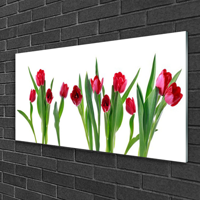 Plexiglas® Wall Art Tulips floral red