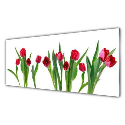 Plexiglas® Wall Art Tulips floral red