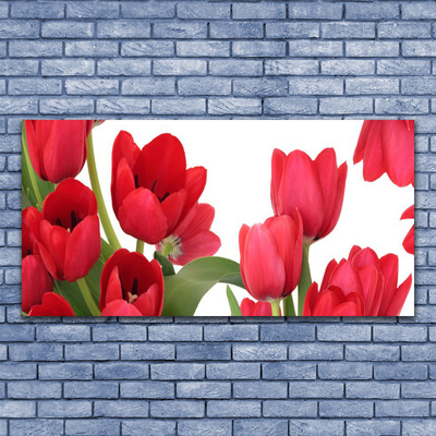 Plexiglas® Wall Art Tulips floral red