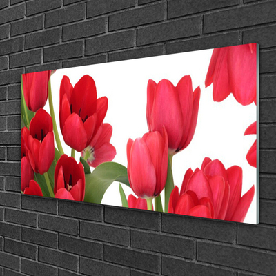 Plexiglas® Wall Art Tulips floral red