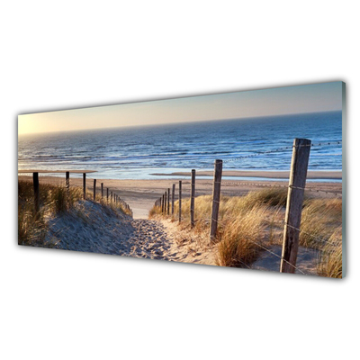Plexiglas® Wall Art Beach footpath landscape brown