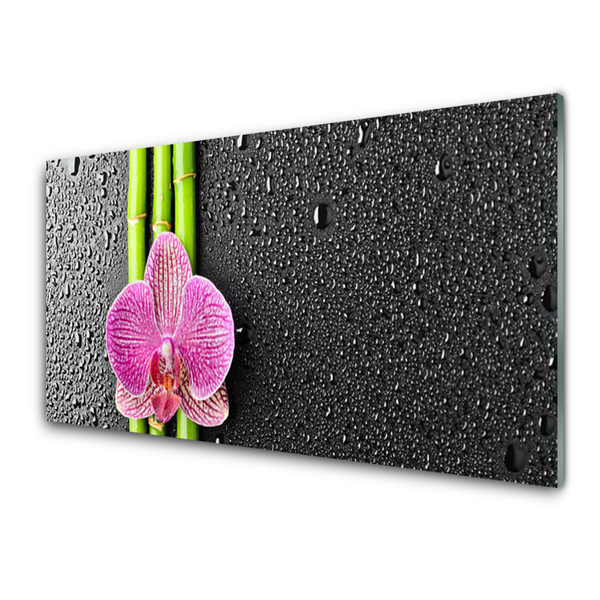 Plexiglas® Wall Art Bamboo tube flower floral green pink