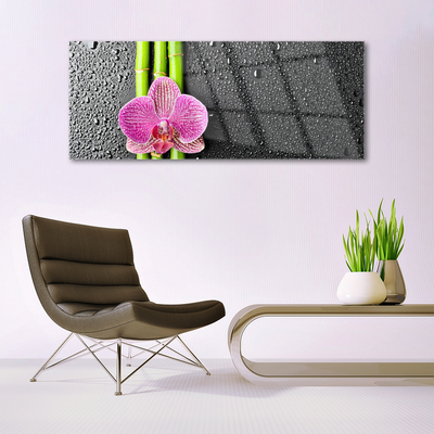 Plexiglas® Wall Art Bamboo tube flower floral green pink