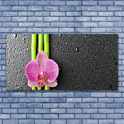 Plexiglas® Wall Art Bamboo tube flower floral green pink