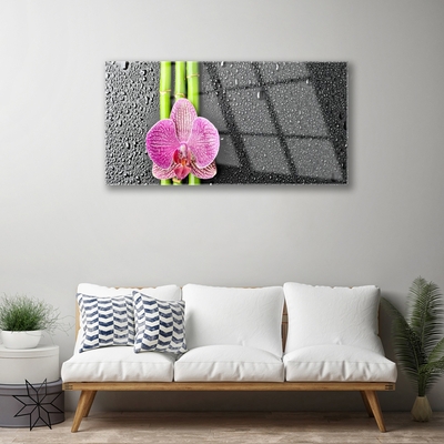 Plexiglas® Wall Art Bamboo tube flower floral green pink