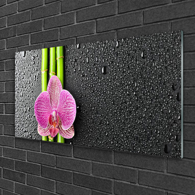 Plexiglas® Wall Art Bamboo tube flower floral green pink