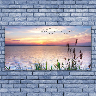 Plexiglas® Wall Art Sea landscape blue grey yellow