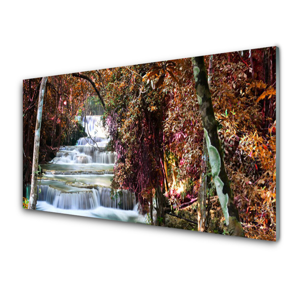 Plexiglas® Wall Art Waterfall forest nature white brown