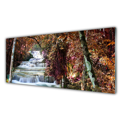 Plexiglas® Wall Art Waterfall forest nature white brown