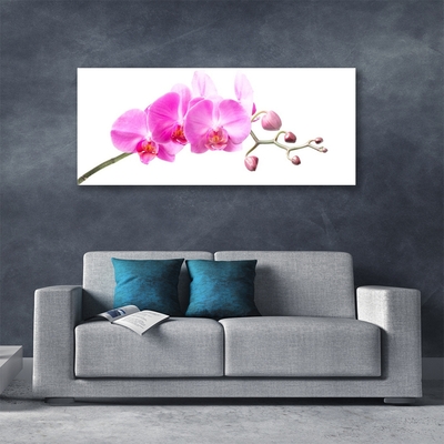 Plexiglas® Wall Art Flowers floral pink