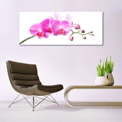 Plexiglas® Wall Art Flowers floral pink