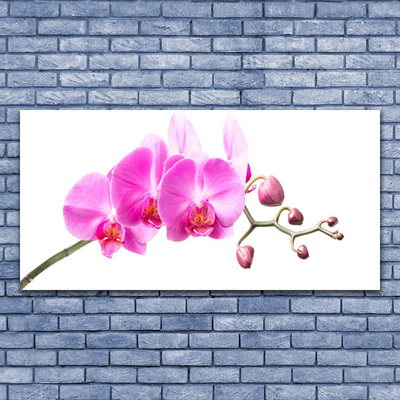 Plexiglas® Wall Art Flowers floral pink