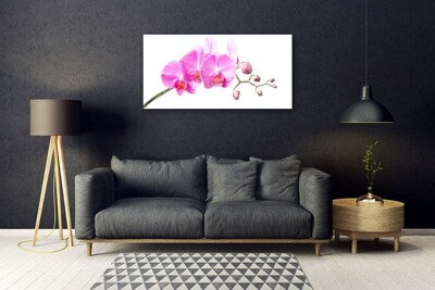 Plexiglas® Wall Art Flowers floral pink