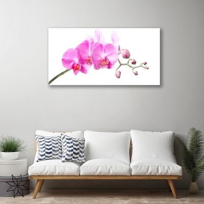 Plexiglas® Wall Art Flowers floral pink