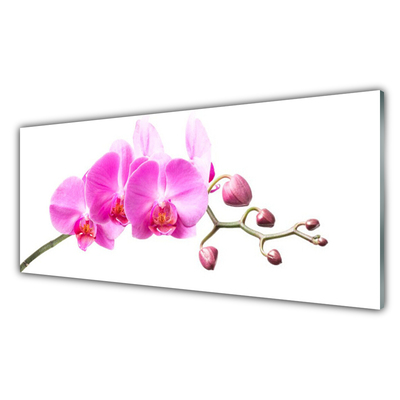 Plexiglas® Wall Art Flowers floral pink