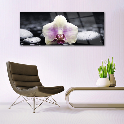 Plexiglas® Wall Art Flower stones floral pink white black