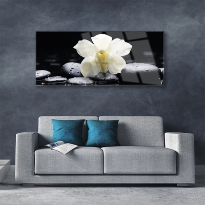 Plexiglas® Wall Art Flower stones floral white black