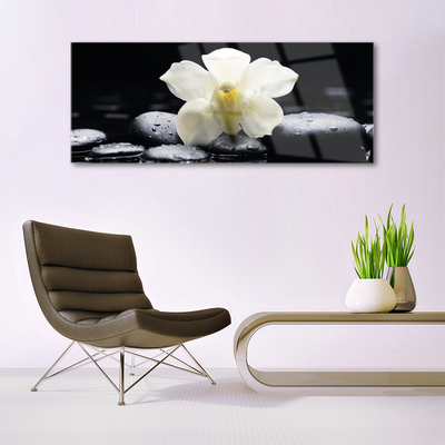 Plexiglas® Wall Art Flower stones floral white black