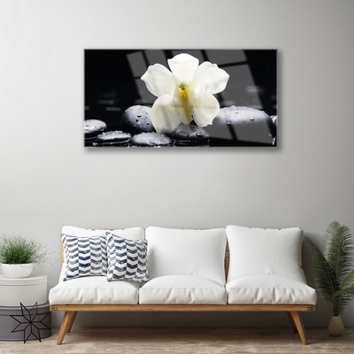 Plexiglas® Wall Art Flower stones floral white black