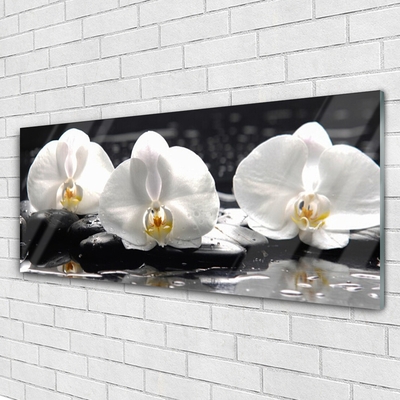 Plexiglas® Wall Art Flower stones floral white black