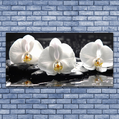 Plexiglas® Wall Art Flower stones floral white black