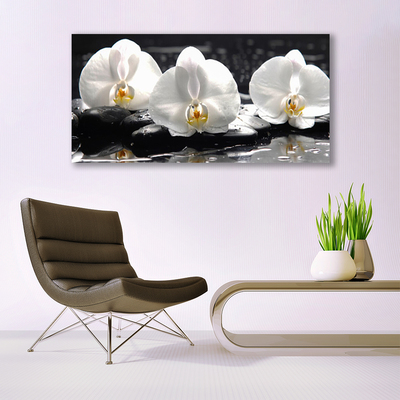 Plexiglas® Wall Art Flower stones floral white black