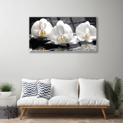 Plexiglas® Wall Art Flower stones floral white black