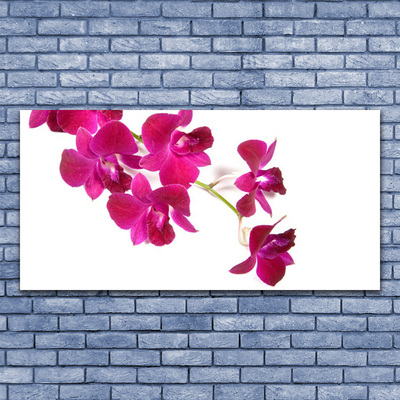Plexiglas® Wall Art Flowers floral red