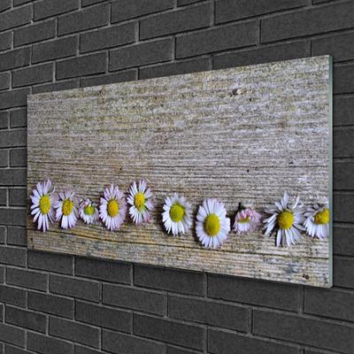 Plexiglas® Wall Art Daisy floral yellow white pink