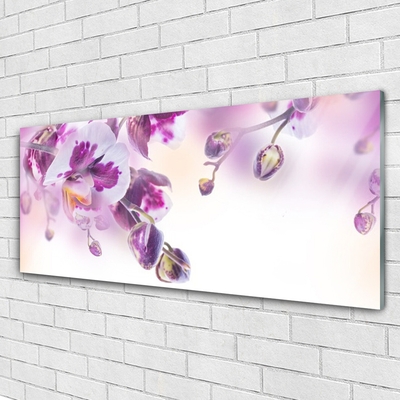 Plexiglas® Wall Art Flowers floral pink