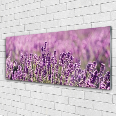 Plexiglas® Wall Art Flowers floral pink