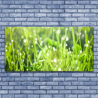 Plexiglas® Wall Art Grass nature green