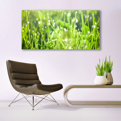 Plexiglas® Wall Art Grass nature green