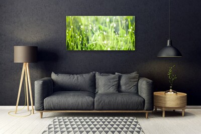 Plexiglas® Wall Art Grass nature green