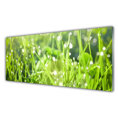 Plexiglas® Wall Art Grass nature green