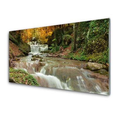 Plexiglas® Wall Art Waterfall forest nature brown green