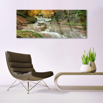 Plexiglas® Wall Art Waterfall forest nature brown green