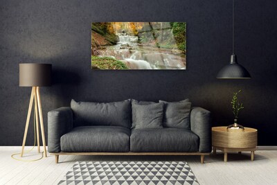 Plexiglas® Wall Art Waterfall forest nature brown green