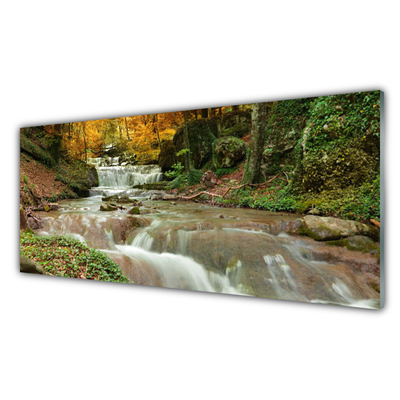 Plexiglas® Wall Art Waterfall forest nature brown green