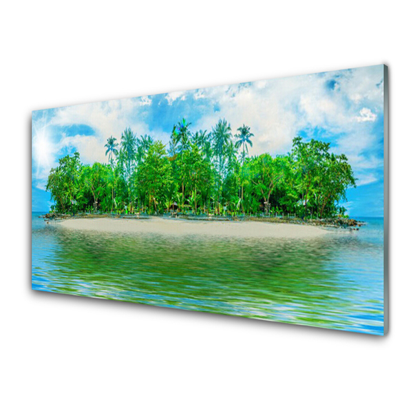 Plexiglas® Wall Art Sea island landscape blue brown green